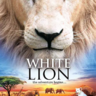 [2010][南非][纪录片/家庭][白狮][3D左右半宽][1080P-5G][MKV]3D电影免费下载