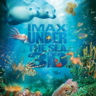 海底猎奇/海底世界3D-Under the Sea-3D电影免费下载