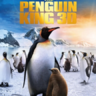 企鹅王-The Penguin King-3D电影免费下载