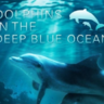 深蓝色海洋里的海豚-Dolphins in the Deep Blue Ocean-3D电影免费下载