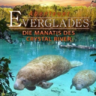 探索大沼泽地-Abenteuer.Everglades-3D电影免费下载