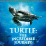 在海裡飛翔-Turtle: The Incredible Journey-3D电影免费下载
