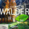 纯净的大自然德意志森林-Deutsche Waelder Natur Pur -3D电影免费下载