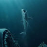巨齿鲨-The Meg-3D电影免费下载